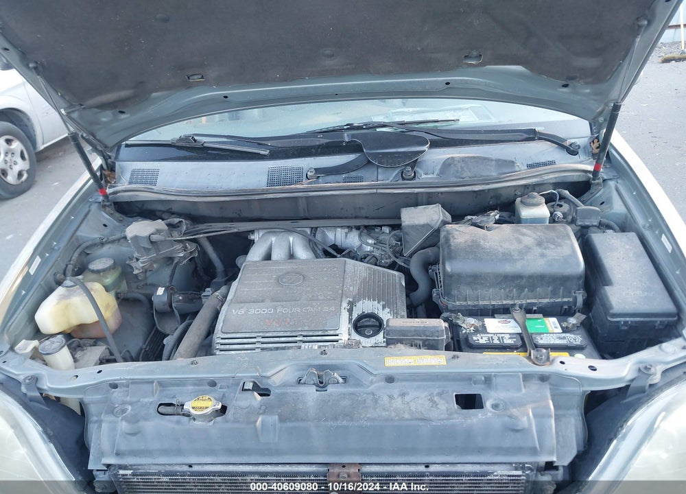 2000 LEXUS RX 300 VIN: JT6HF10U7Y0152083