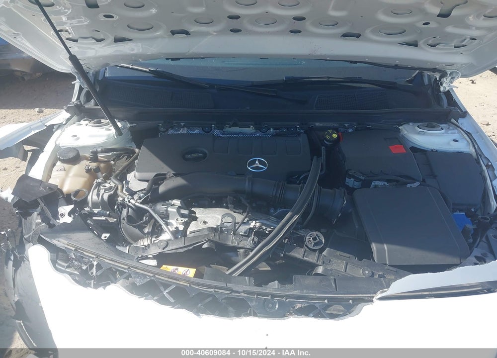 2019 MERCEDES-BENZ A 220 VIN: WDD3G4EB2KW029449
