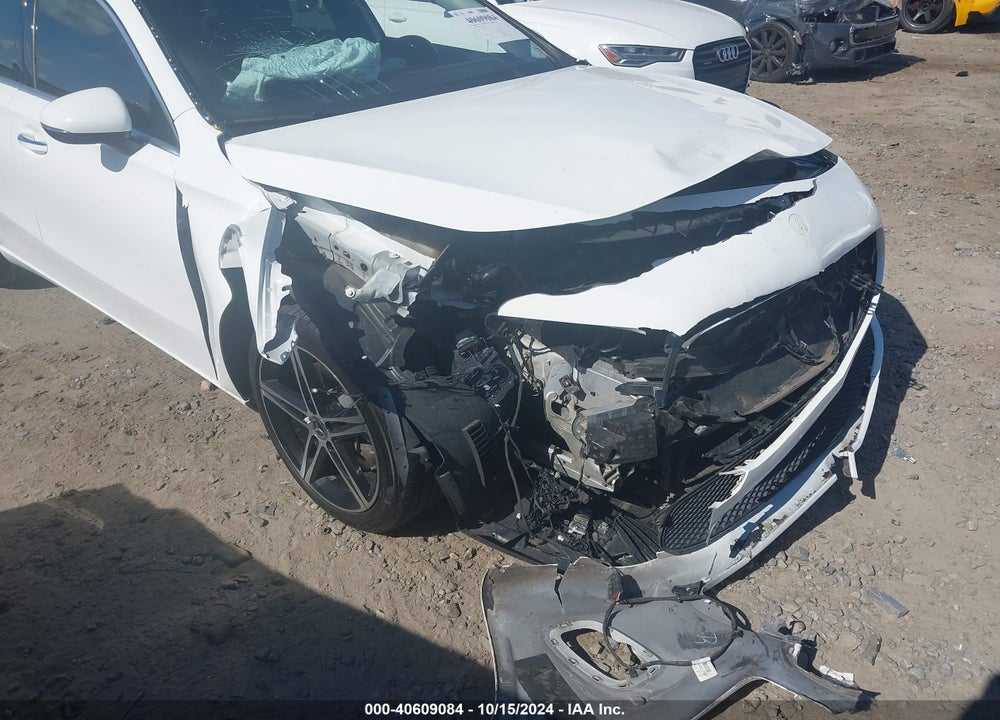 2019 MERCEDES-BENZ A 220 VIN: WDD3G4EB2KW029449