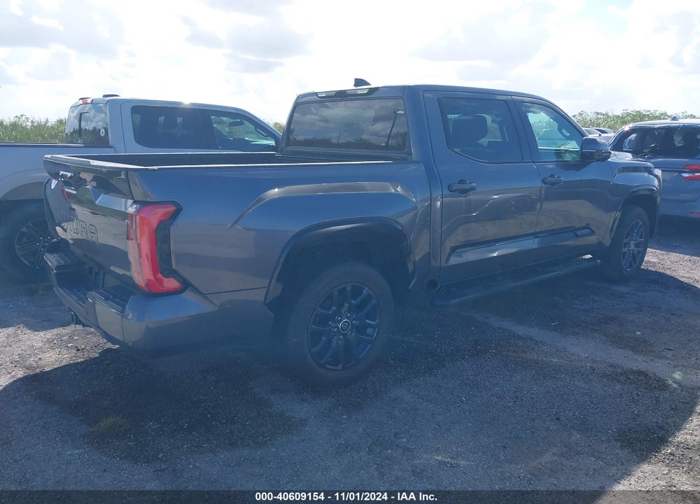 2022 TOYOTA TUNDRA PLATINUM VIN: 5TFNA5AB6NX016895