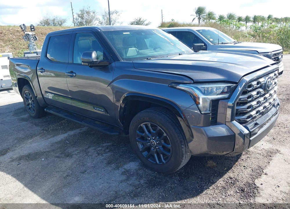 2022 TOYOTA TUNDRA PLATINUM VIN: 5TFNA5AB6NX016895