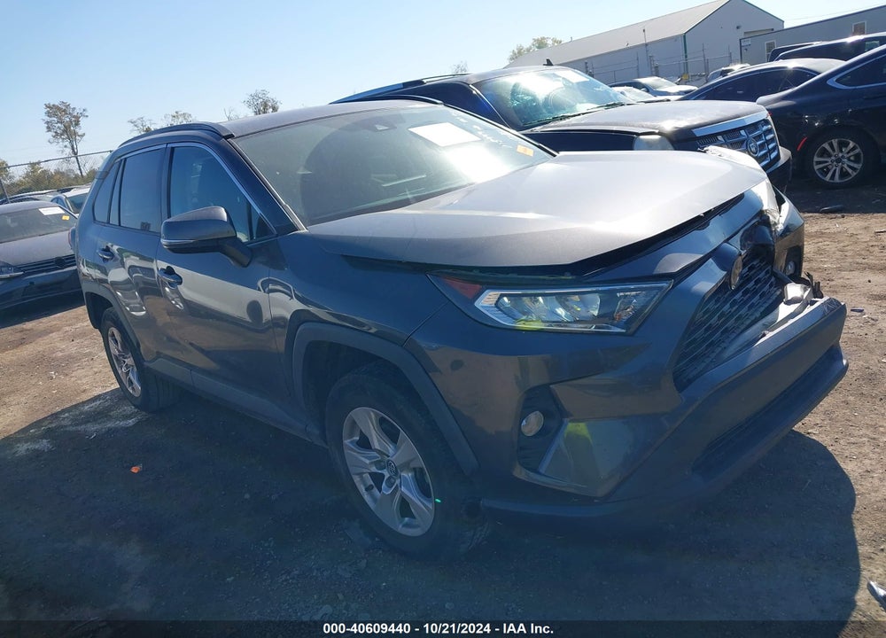 2019 TOYOTA RAV4 XLE VIN: 2T3W1RFV4KW015999