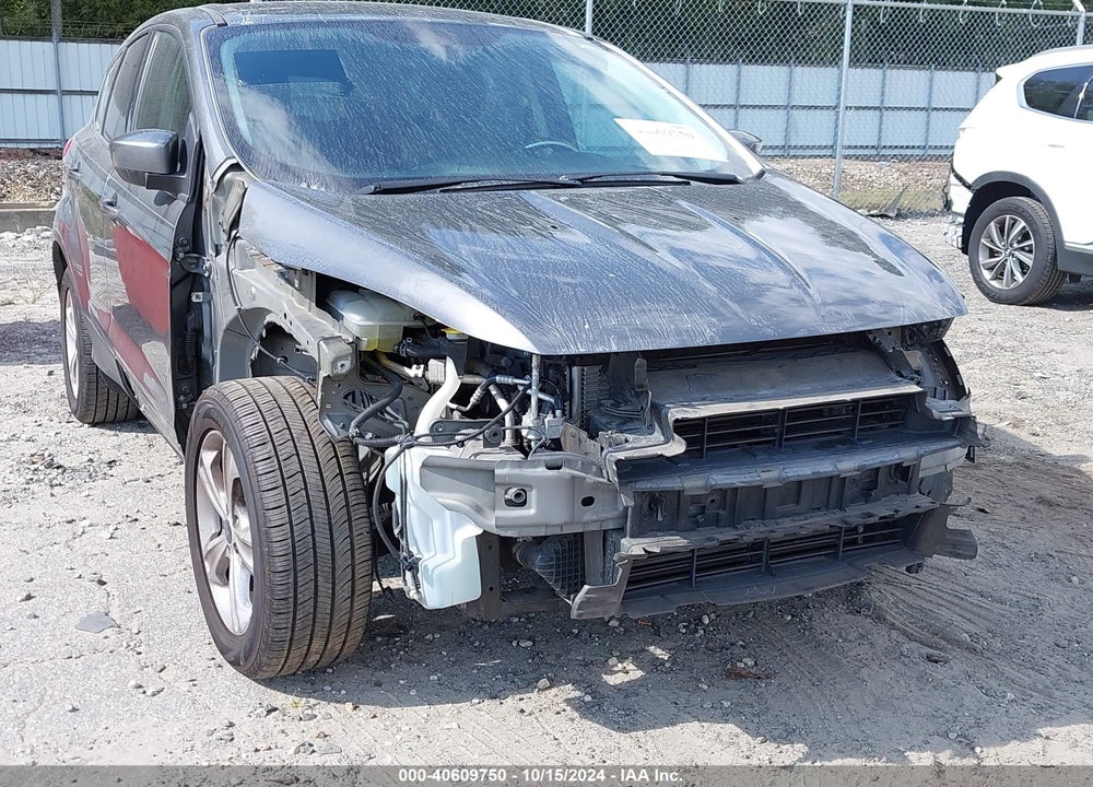 2014 FORD ESCAPE SE VIN: 1FMCU0GX4EUE49780
