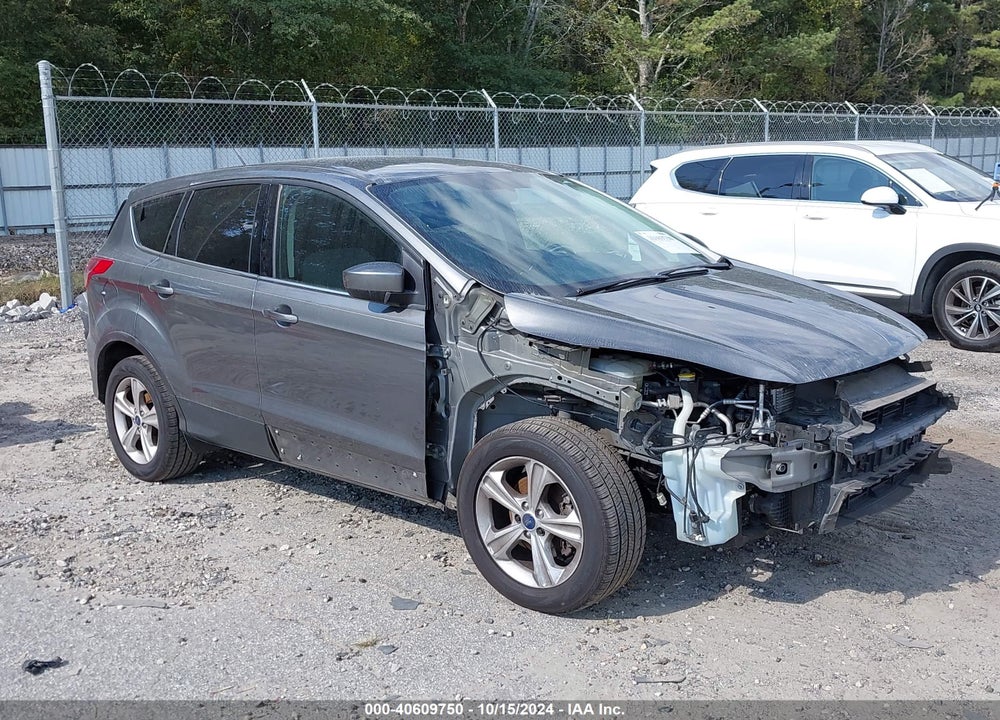 2014 FORD ESCAPE SE VIN: 1FMCU0GX4EUE49780