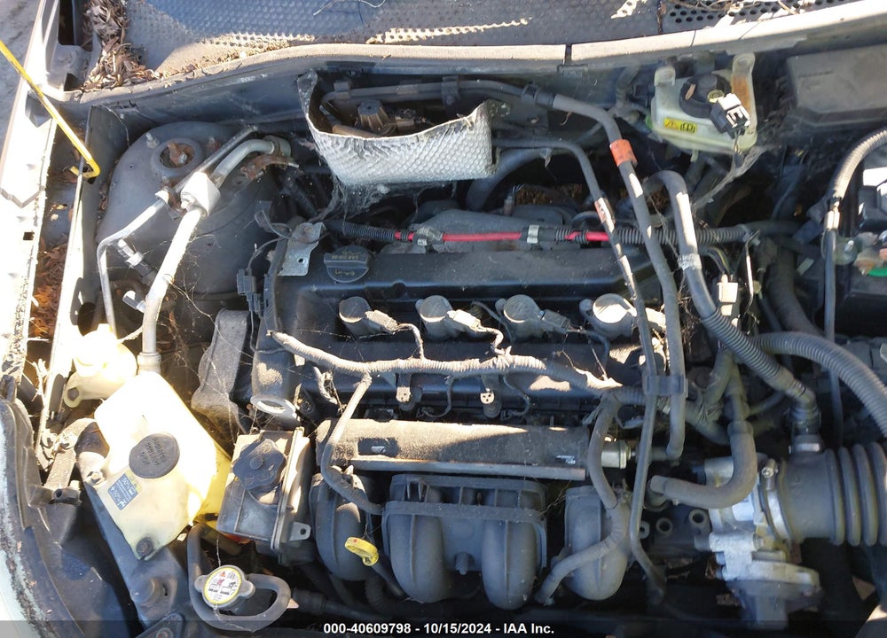 2010 FORD FOCUS SE VIN: 1FAHP3FN3AW150188
