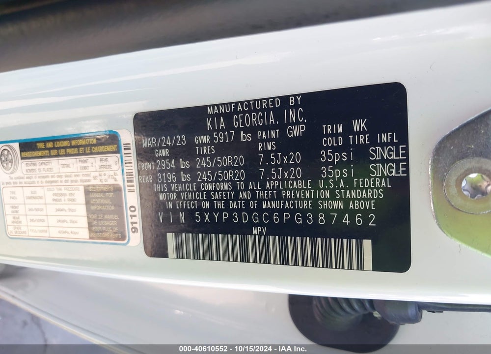 2023 KIA TELLURIDE EX X-LINE VIN: 5XYP3DGC6PG387462