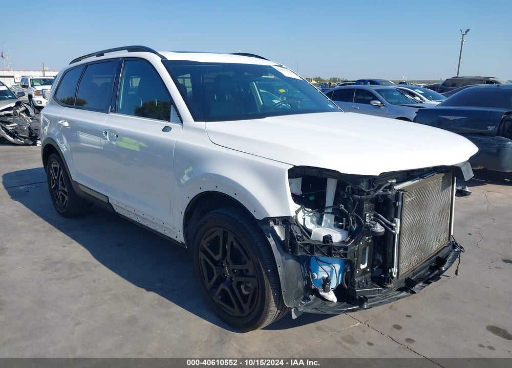 2023 KIA TELLURIDE EX X-LINE VIN: 5XYP3DGC6PG387462