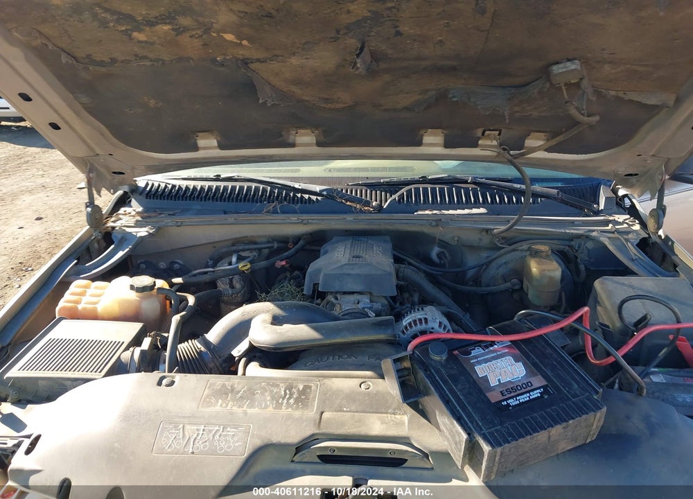 1999 CHEVROLET SILVERADO 1500 LS VIN: 2GCEC19T1X1119867