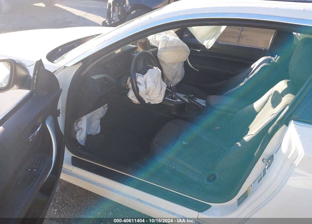 2014 BMW 228I VIN: WBA1F5C57EVV99221
