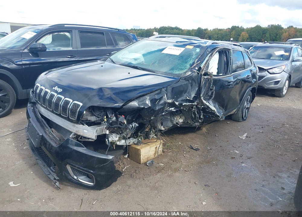 2019 JEEP CHEROKEE LIMITED 4X4 VIN: 1C4PJMDXXKD230604