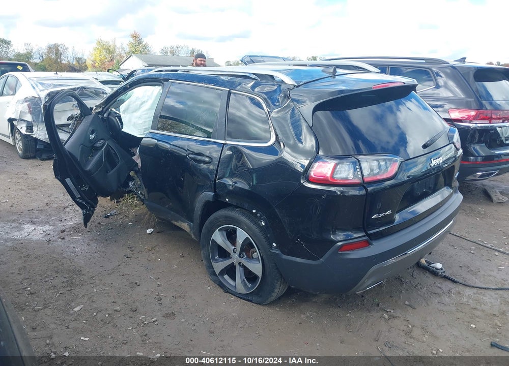 2019 JEEP CHEROKEE LIMITED 4X4 VIN: 1C4PJMDXXKD230604
