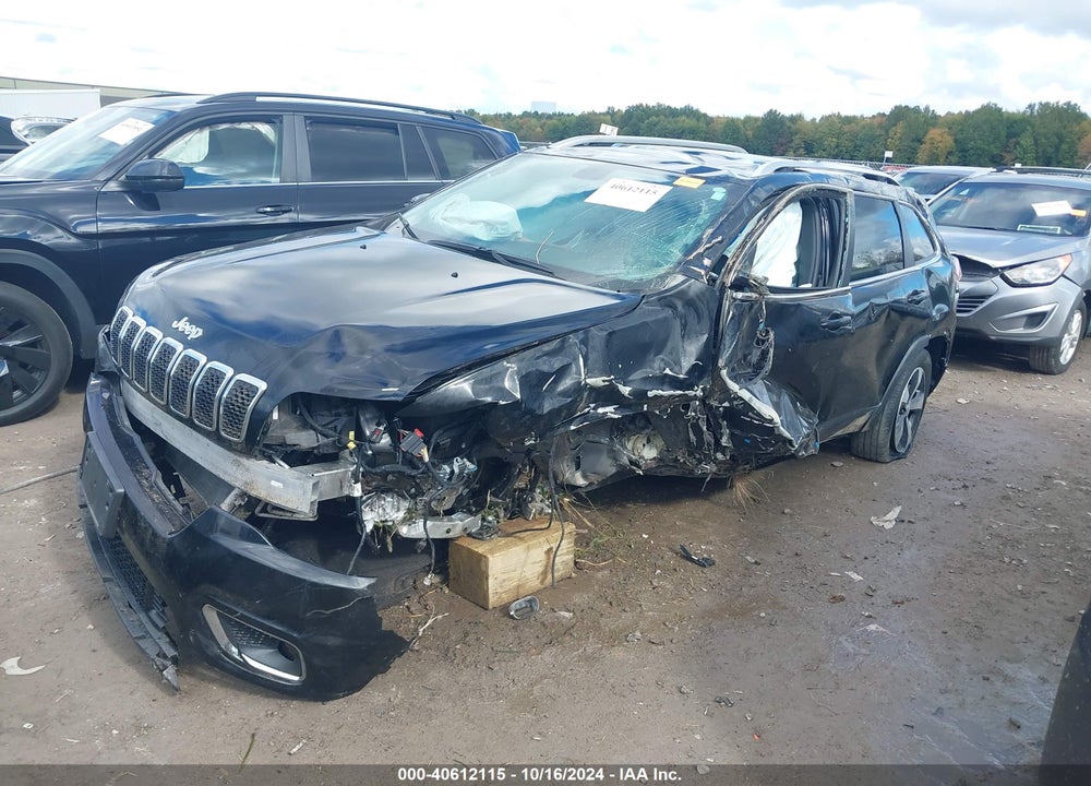 2019 JEEP CHEROKEE LIMITED 4X4 VIN: 1C4PJMDXXKD230604