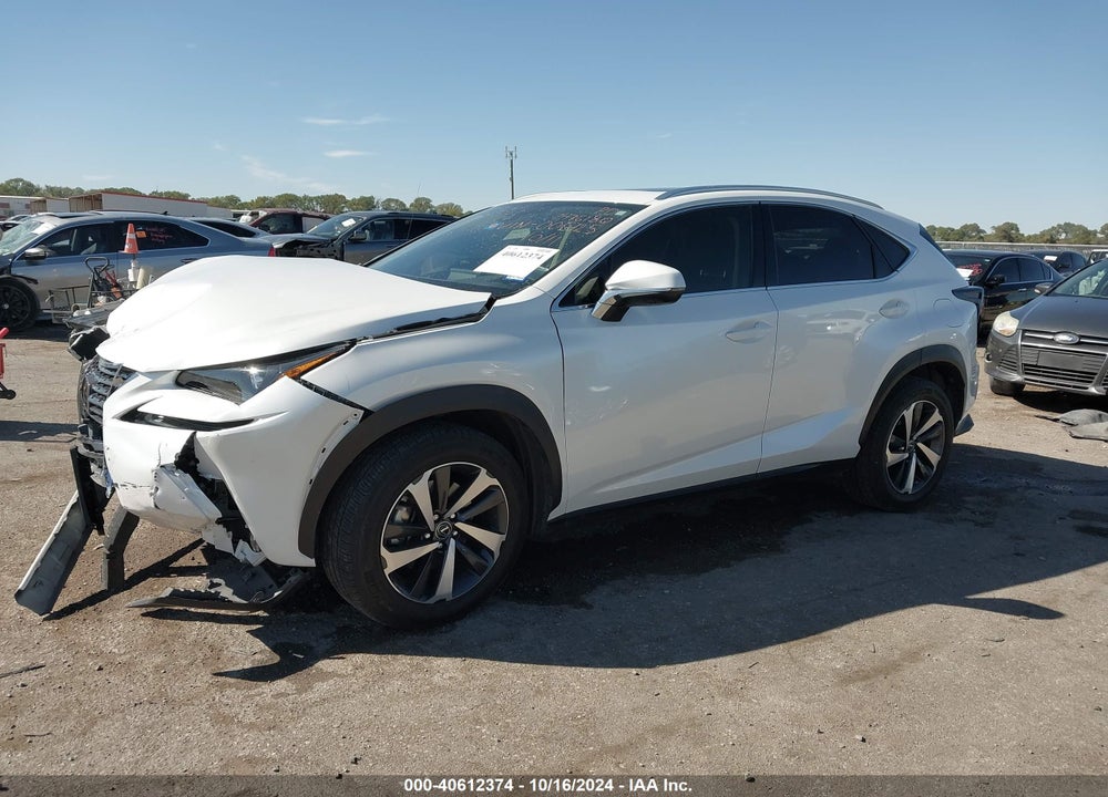 2020 LEXUS NX 300 VIN: JTJGARBZ4L5006125