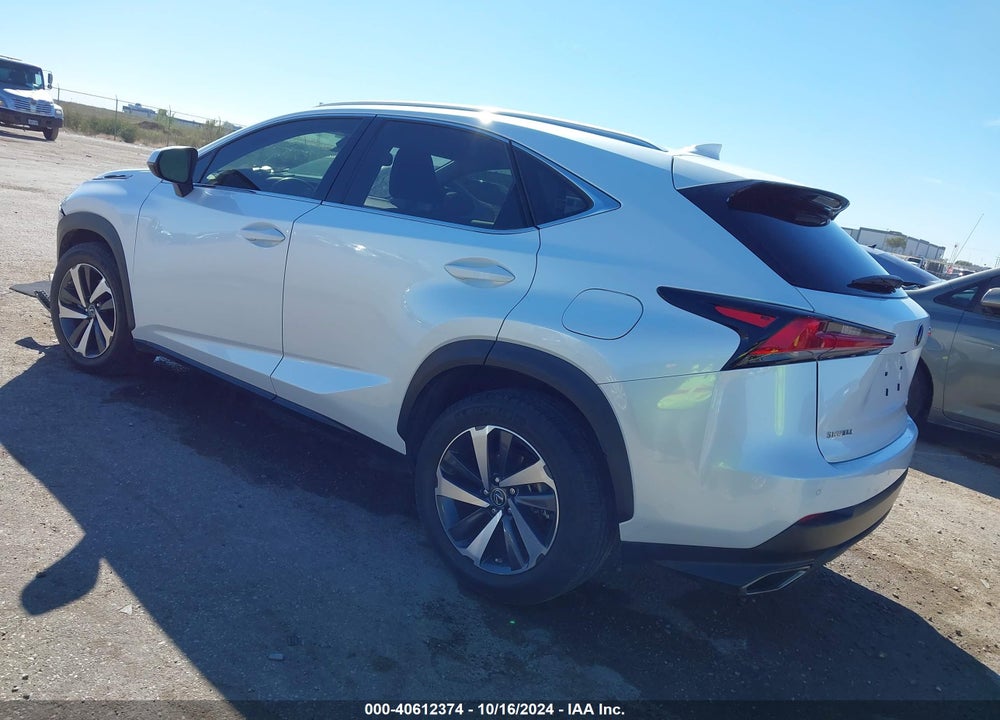 2020 LEXUS NX 300 VIN: JTJGARBZ4L5006125
