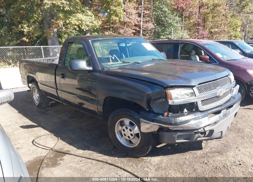 2004 CHEVROLET SILVERADO 1500 WORK TRUCK VIN: 1GCEK14TX4Z314007