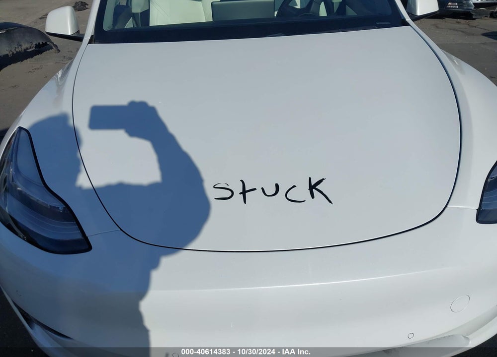 2020 TESLA MODEL Y VIN: 5YJYGDEF3LF023104