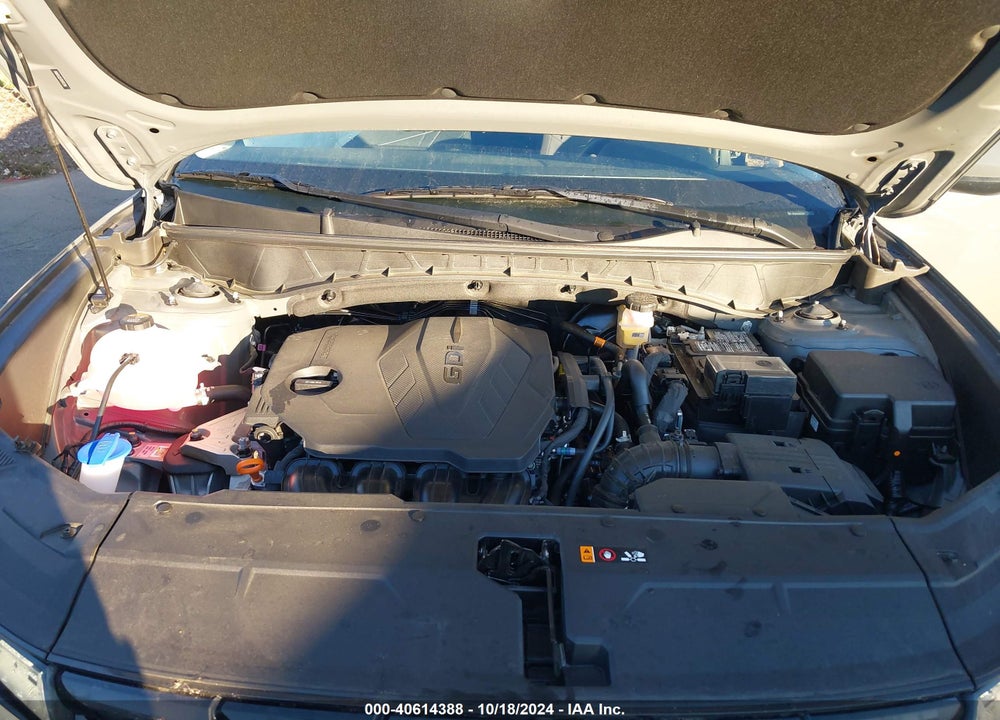 2024 HYUNDAI TUCSON SE VIN: 5NMJA3DE7RH397244