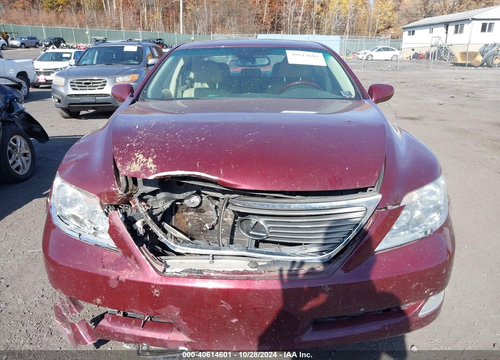 2009 LEXUS LS 460 VIN: JTHBL46F295088101