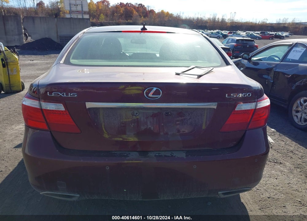 2009 LEXUS LS 460 VIN: JTHBL46F295088101