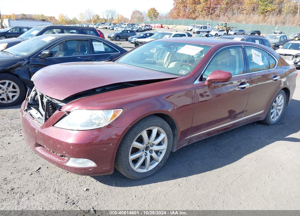 2009 LEXUS LS 460 VIN: JTHBL46F295088101