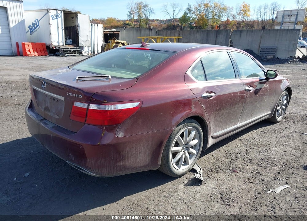 2009 LEXUS LS 460 VIN: JTHBL46F295088101