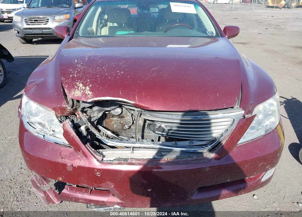 2009 LEXUS LS 460 VIN: JTHBL46F295088101