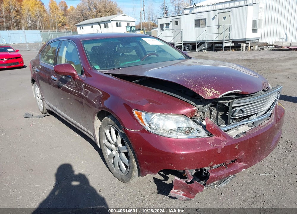 2009 LEXUS LS 460 VIN: JTHBL46F295088101
