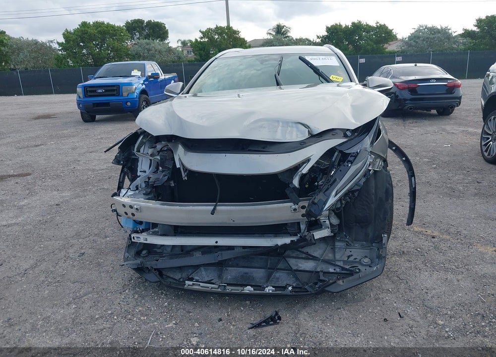 2024 LEXUS NX 250 VIN: 2T2ADCAZ3RC007935
