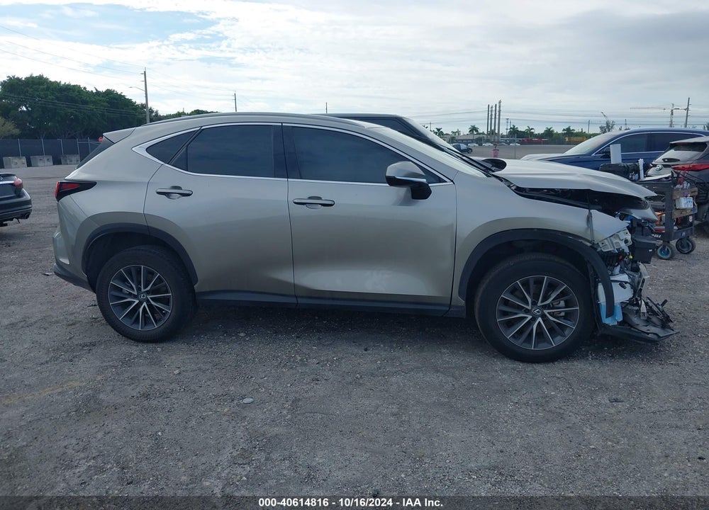 2024 LEXUS NX 250 VIN: 2T2ADCAZ3RC007935