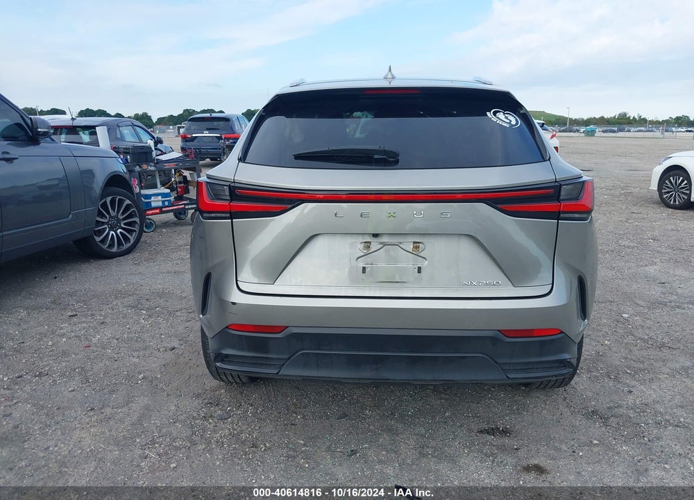 2024 LEXUS NX 250 VIN: 2T2ADCAZ3RC007935