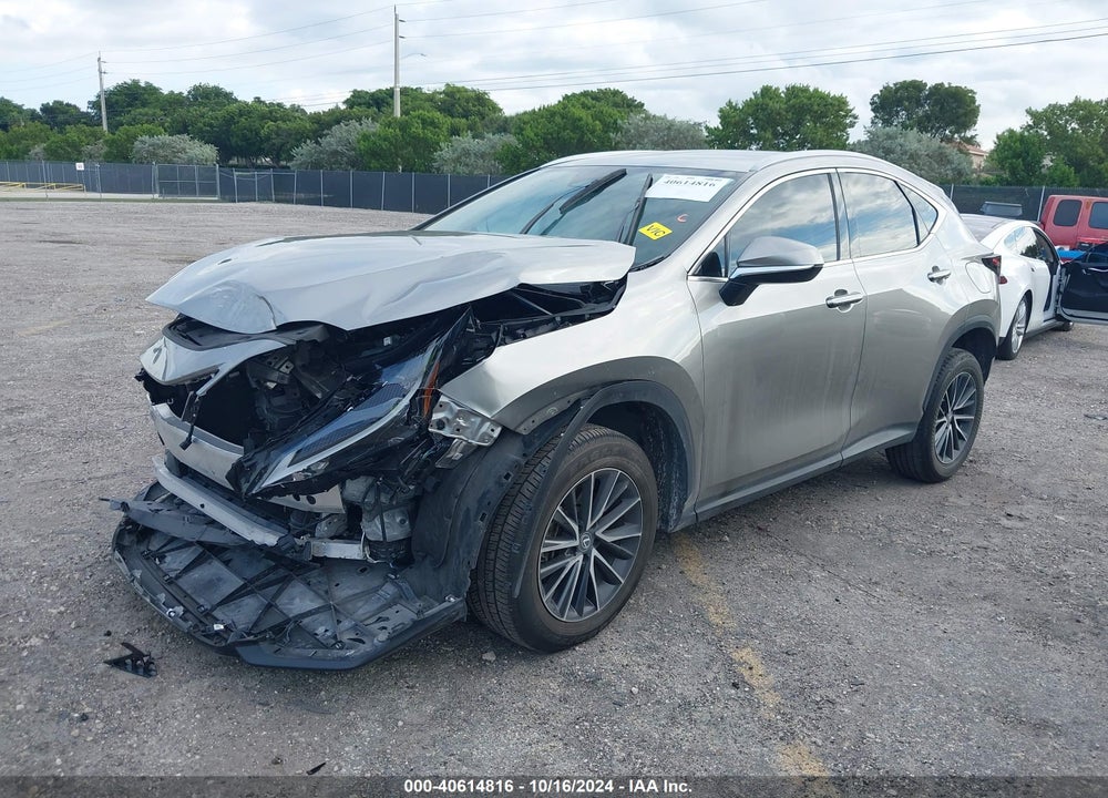 2024 LEXUS NX 250 VIN: 2T2ADCAZ3RC007935