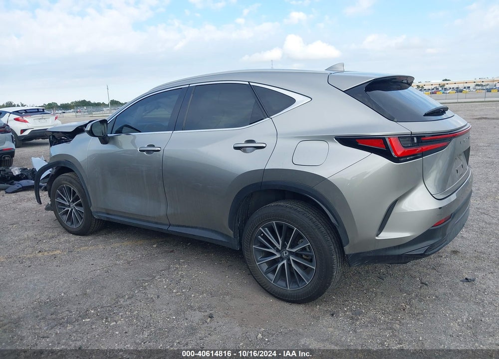 2024 LEXUS NX 250 VIN: 2T2ADCAZ3RC007935