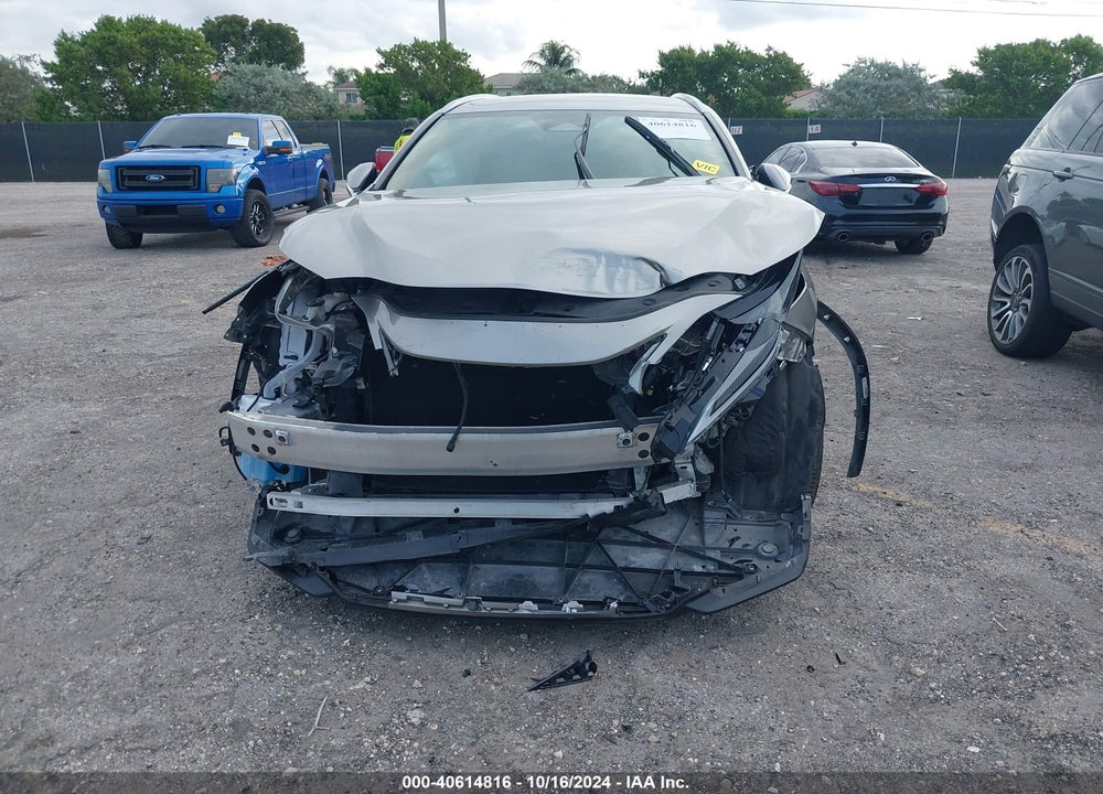 2024 LEXUS NX 250 VIN: 2T2ADCAZ3RC007935