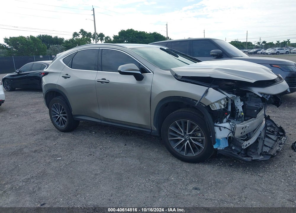2024 LEXUS NX 250 VIN: 2T2ADCAZ3RC007935