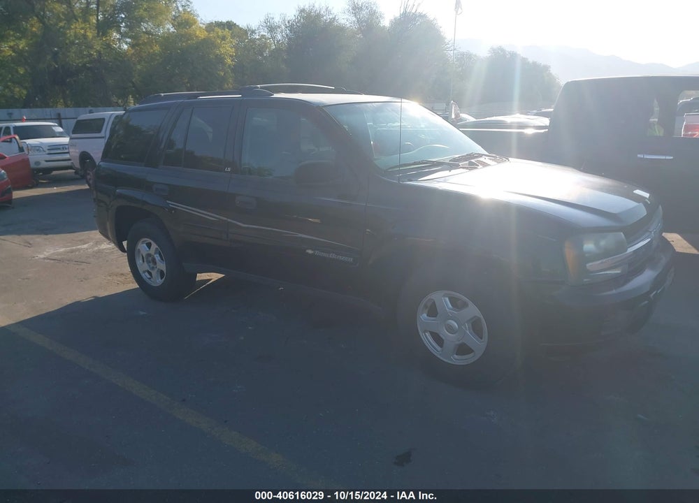 2002 CHEVROLET TRAILBLAZER LS VIN: 1GNDS13SX22338177