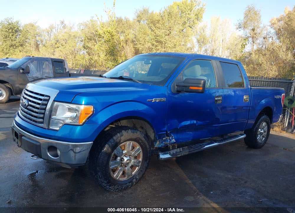 2012 FORD F-150 XLT VIN: 1FTFW1EF6CFC09174