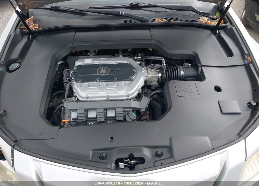 2010 ACURA TL 3.5 VIN: 19UUA8F5XAA011567
