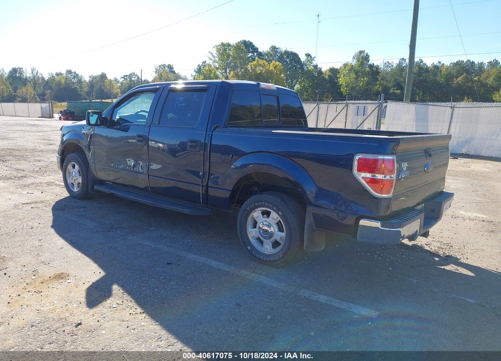 2014 FORD F-150 XLT VIN: 1FTEW1CM9EFA71890