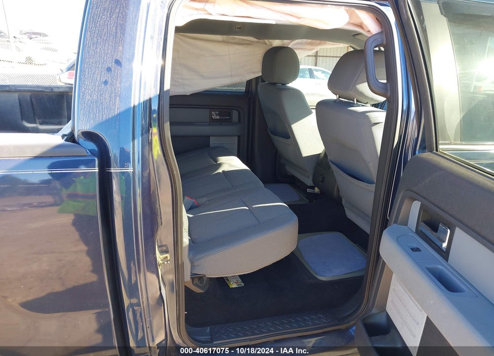 2014 FORD F-150 XLT VIN: 1FTEW1CM9EFA71890