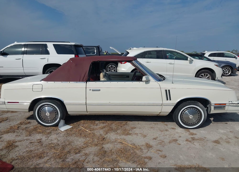 1983 DODGE 400 VIN: 1B3BV55C8DG180577