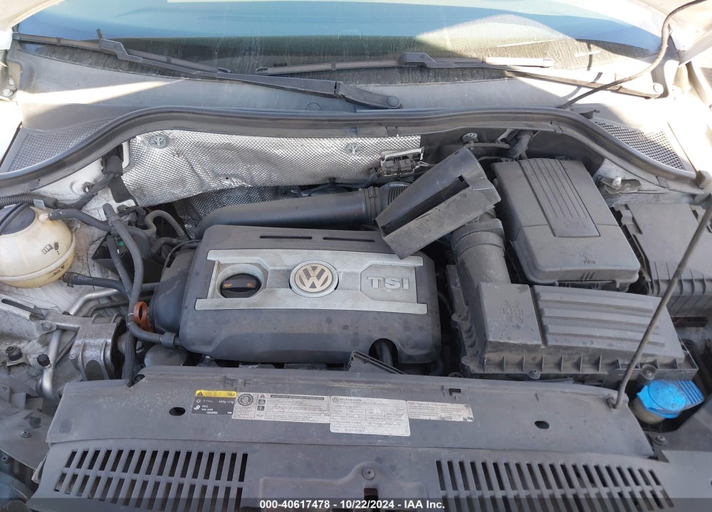 2013 VOLKSWAGEN TIGUAN S VIN: WVGAV3AX3DW562279