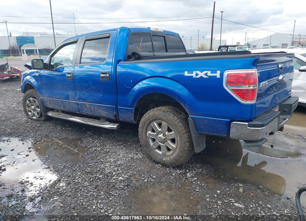 2014 FORD F-150 XLT VIN: 1FTFW1EF3EFA43277