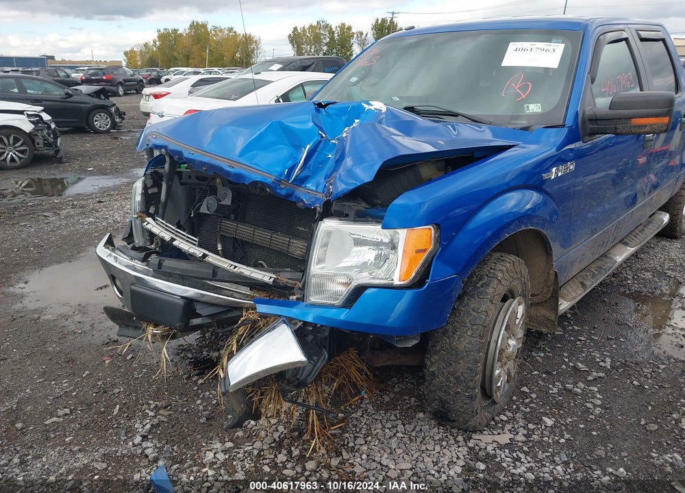 2014 FORD F-150 XLT VIN: 1FTFW1EF3EFA43277