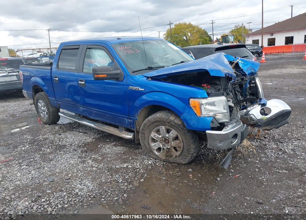 2014 FORD F-150 XLT VIN: 1FTFW1EF3EFA43277