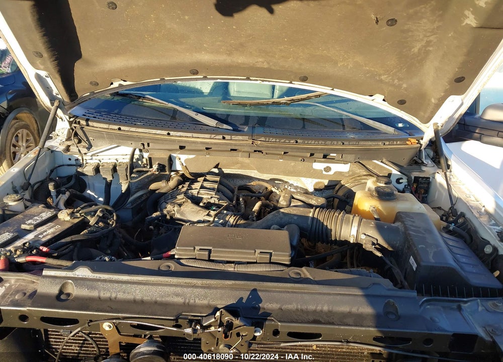 2012 FORD F-150 XL VIN: 1FTMF1CM0CKE09371