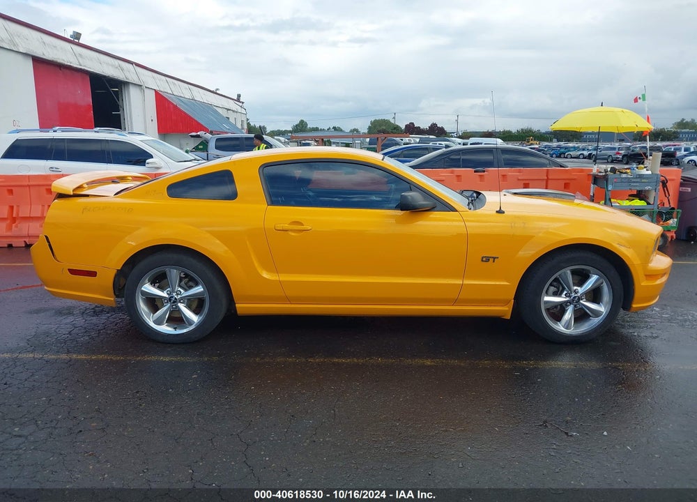 2007 FORD MUSTANG GT DELUXE/GT PREMIUM VIN: 1ZVHT82H875203773