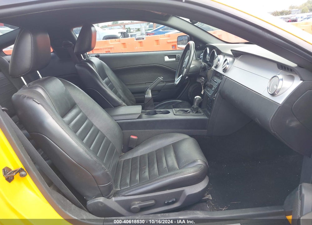 2007 FORD MUSTANG GT DELUXE/GT PREMIUM VIN: 1ZVHT82H875203773