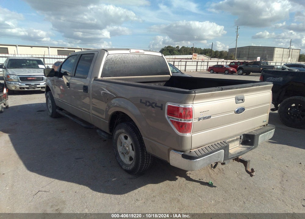 2010 FORD F-150 FX4/HARLEY-DAVIDSON/KING RANCH/LARIAT/PLATINUM/XL/XLT VIN: 1FTFW1EV3AKA65997