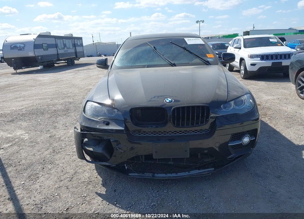 2011 BMW X6 XDRIVE50I VIN: 5UXFG8C53BLZ96244