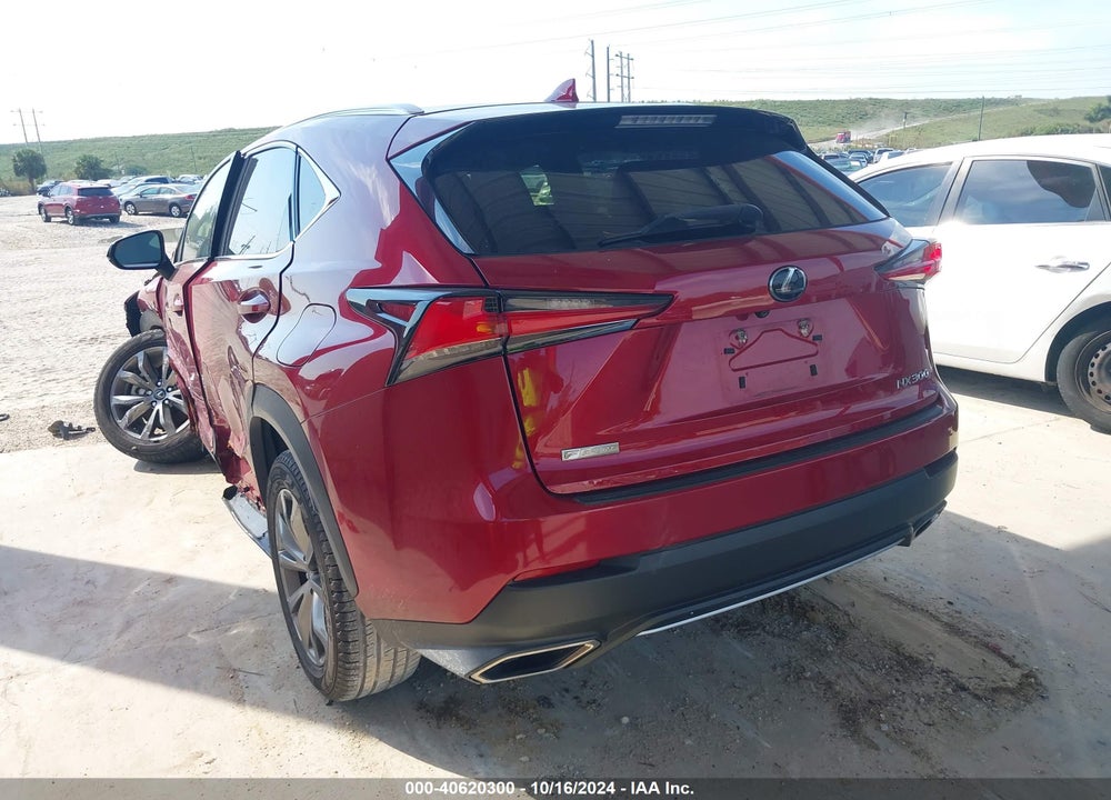 2020 LEXUS NX 300 F-SPORT VIN: JTJJARBZ6L2167034